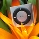 Illustration for article titled Five Takes On the New Apple iPods